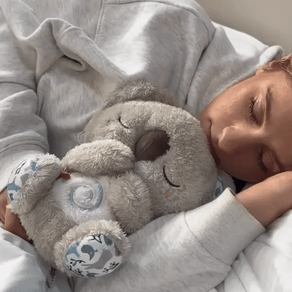 Koala Relaxantă din Pluș - Romania CocoLuna